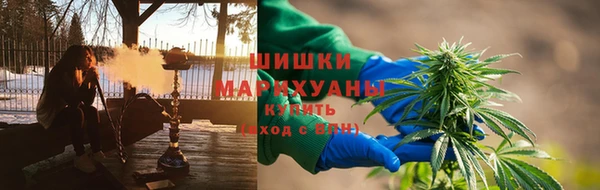 ГАЛЛЮЦИНОГЕННЫЕ ГРИБЫ Алексеевка