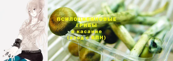 ГАЛЛЮЦИНОГЕННЫЕ ГРИБЫ Алексеевка