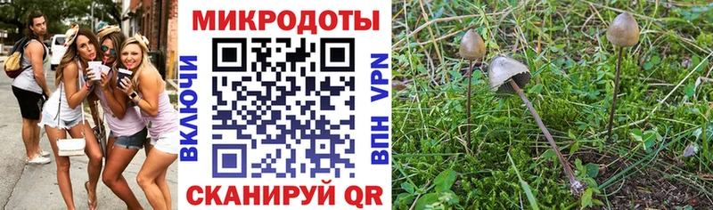 Галлюциногенные грибы MAGIC MUSHROOMS  Кизел 